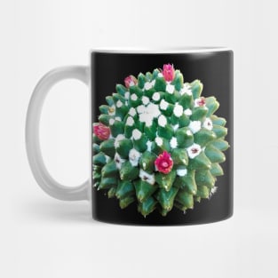 Cacto Bola Toluca Mug